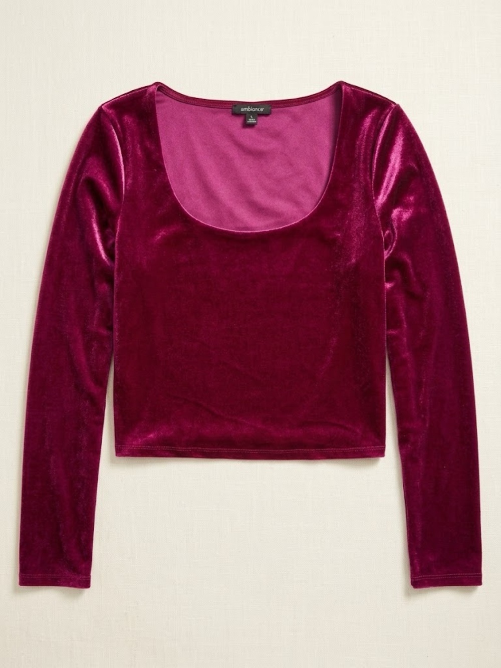 Ambiance Velvet Scoop-Neck Long Sleeve Top - Berry Plum